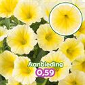 Afbeelding van Petunia P12 "Actie" Bee's Knees